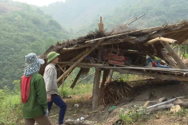 Voi làm hỏng lán nương của hộ dân bản Kéo, xã Huổi Một. Ảnh: UBND xã Huổi Một