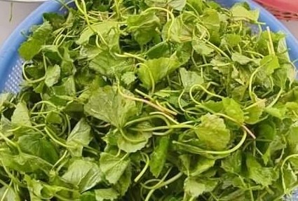 Loại nước uống thanh nhiệt, mát gan: Cần lưu ý khi sử dụng