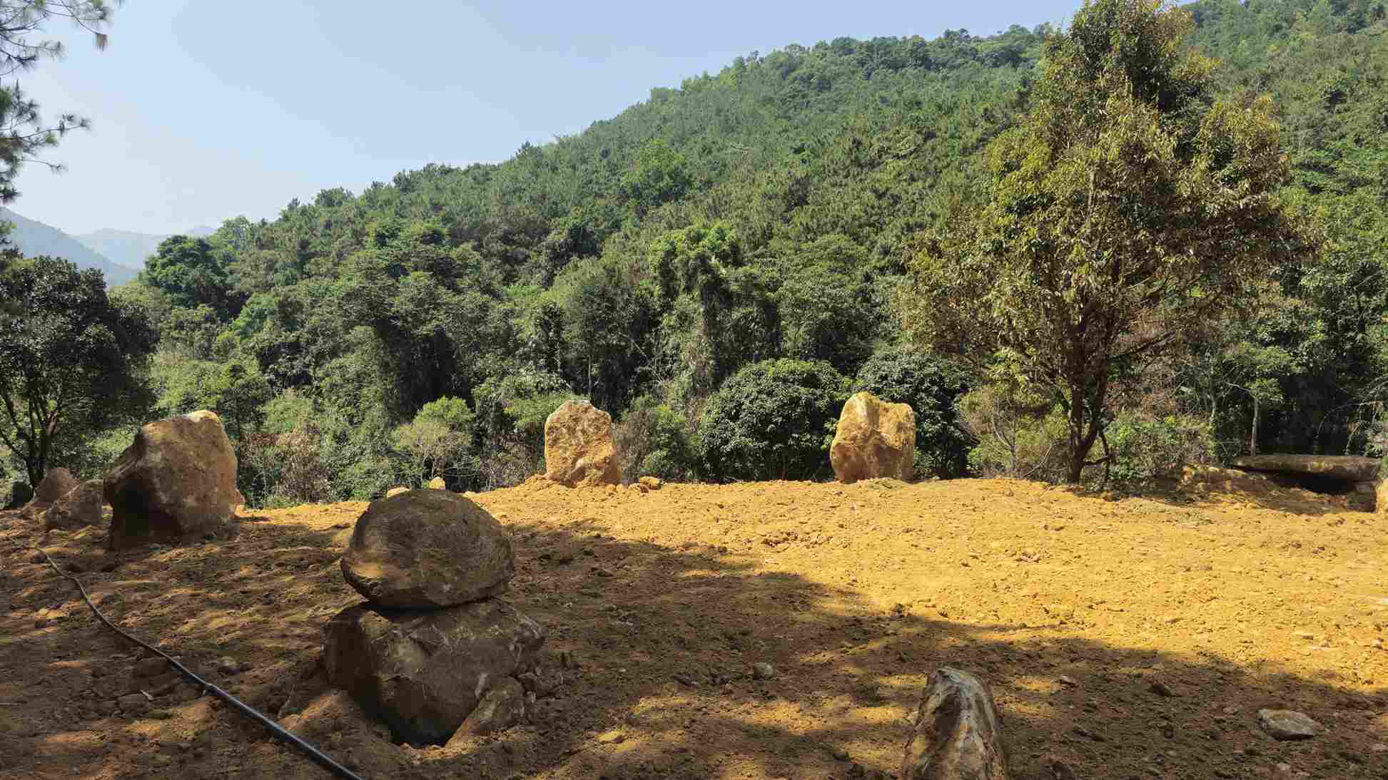 Hiện trường vụ san gạt, đào múc đất lâm nghiệp khu vực đèo Bảo Lộc. Ảnh: Phúc Khánh