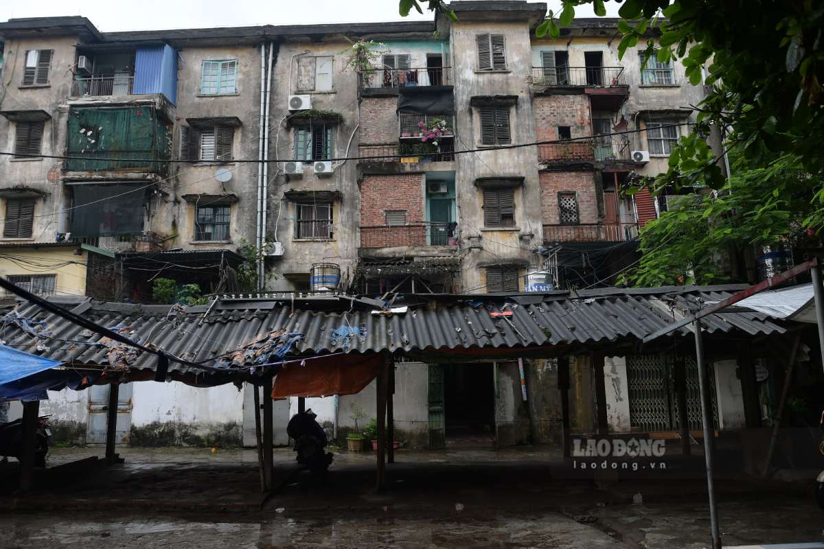 Tại phường Nam Định, hiện có 29 khu chung cư cũ thuộc sở hữu nhà nước. Đáng lo ngại nhất là khu nhà số 181 và 207 đường Hoàng Văn Thụ đã xuống cấp ở mức nguy hiểm cấp D, thuộc diện phải phá dỡ, di dời khẩn cấp. Các khu chung cư cũ còn lại cũng đang ở mức nguy hiểm cấp C.