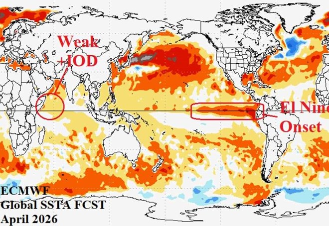 Cảnh báo El Nino mạnh nhất 140 năm đe dọa đảo lộn mùa bão 2026