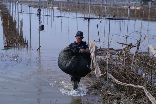 Ninh Bình hỗ trợ tới 60 triệu đồng sửa nhà từ quỹ thiên tai