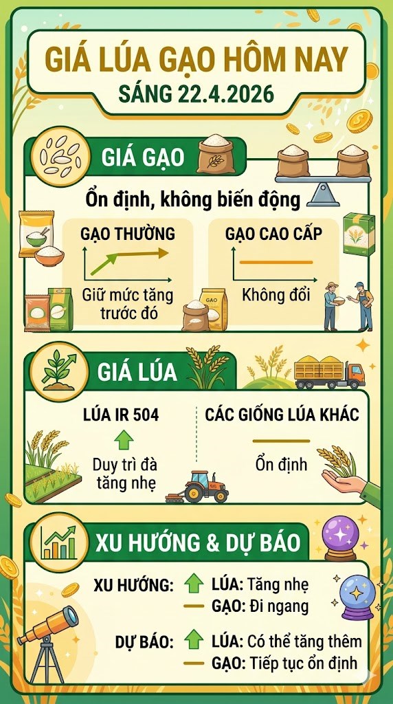 Giá lúa gạo hôm nay 22.4: Lúa tăng nhẹ duy trì, gạo tiếp tục đi ngang - ảnh 3