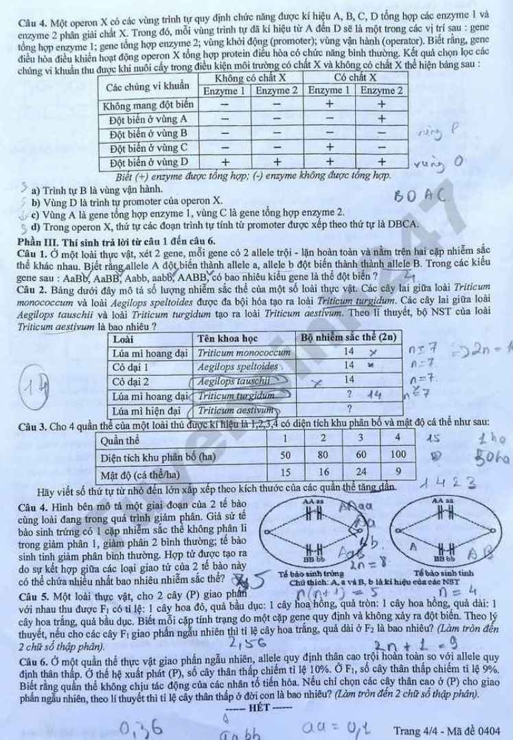 Đề thi thử tốt nghiệp THPT 2026 môn Sinh - Sở GDĐT Quảng Trị. Ảnh: Tuyensinh247