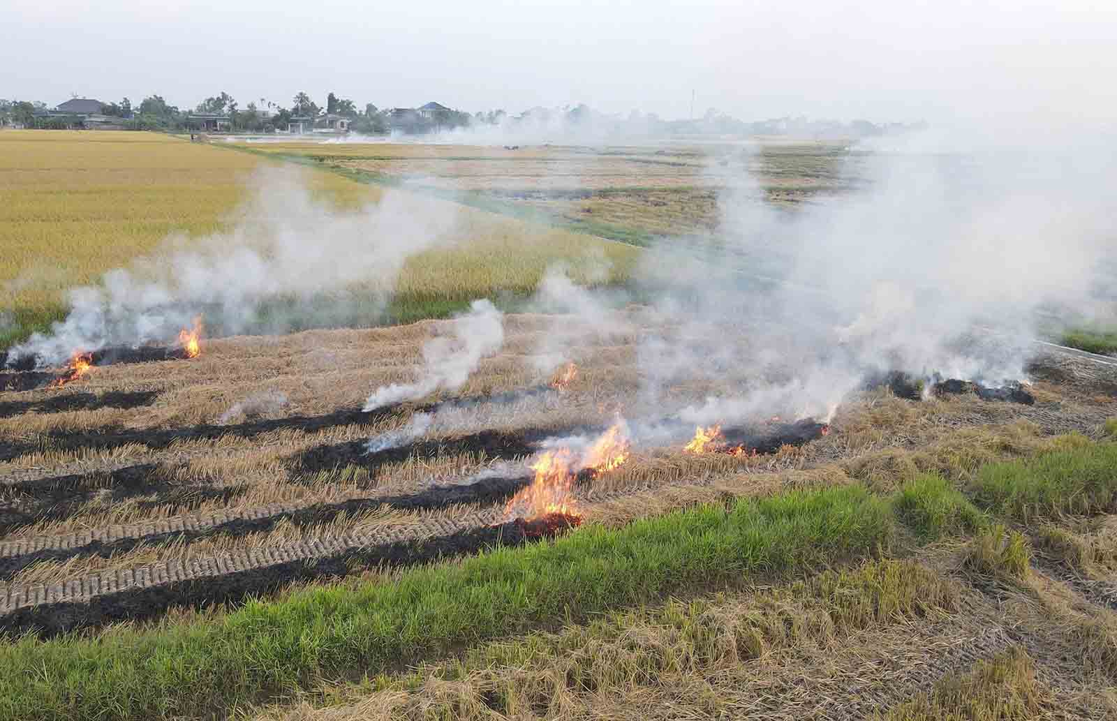 Tình trạng đốt rơm ngoài đồng đang phổ biến ở Hà Tĩnh. Ảnh: Trần Tuấn