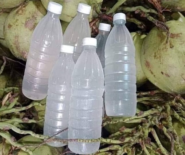 Cách uống nước dừa trong mùa hè tốt cho chức năng gan