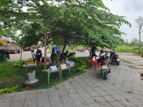 Xuất hiện cò đất tại khu tái định cư Thư Lâm. Ảnh: Minh Hạnh