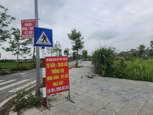 Cò đất bủa vây khu tái định cư ở Thư Lâm. Ảnh: Minh Hạnh
