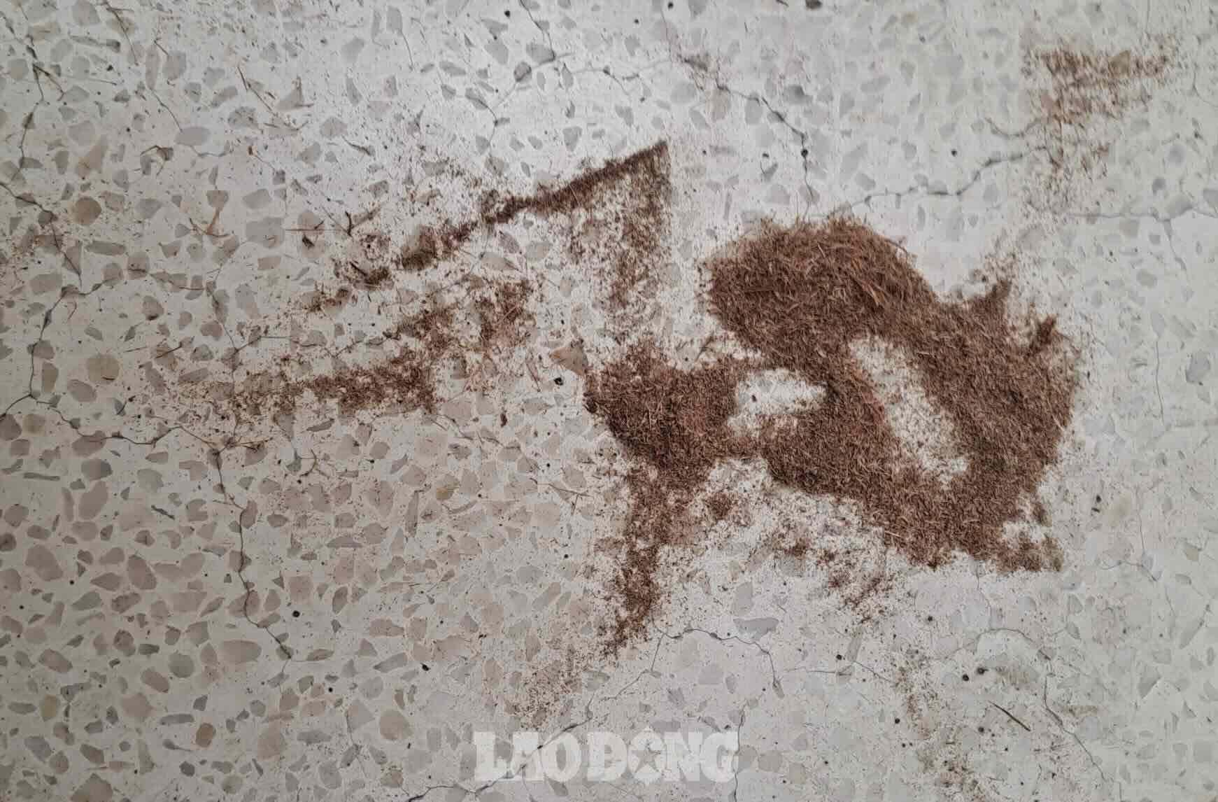 Những vật bám trên nền nhà như dăm gỗ. Ảnh: Văn Sơn