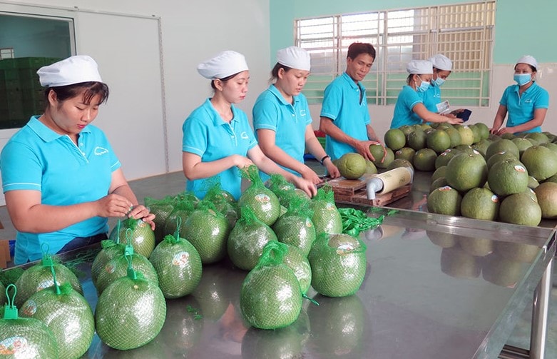 buoi-ben-tre.jpg