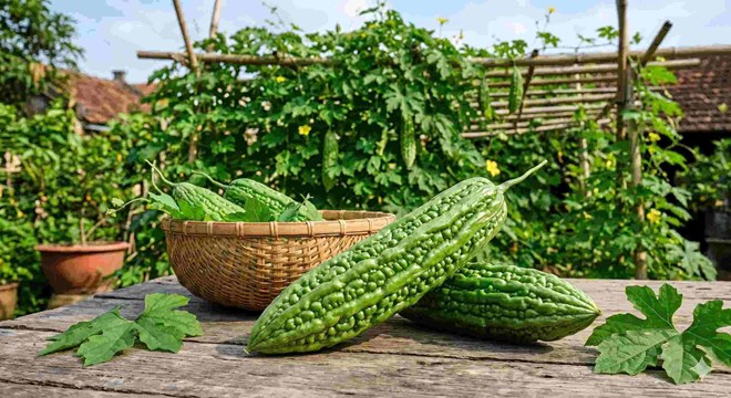 Loại quả nhiều người ngại ăn nhưng có thể hỗ trợ kiểm soát đường huyết