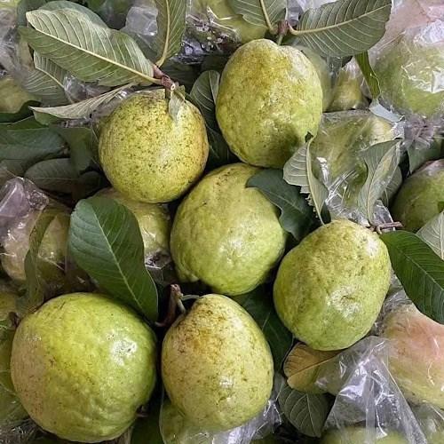 Quả ổi hay cam giàu vitamin C hơn?