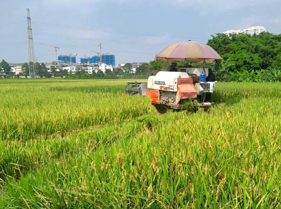 la-phu-gat.jpg