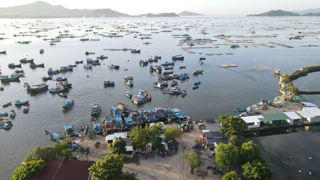 Đóng cửa bến bãi tự phát ven biển Cam Ranh sau phản ánh của Báo Lao Động