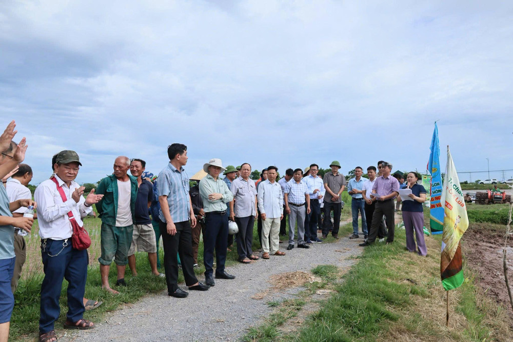 Việc triển khai mô hình canh tác lúa giảm phát thải nằm trong định hướng thực hiện Đề án sản xuất trồng trọt giảm phát thải giai đoạn 2025 - 2035 của TP Hà Nội. Ảnh: Xã Quảng Bị z8013838768214-a1156eb511273617dcd0e27bf0437408.jpg
