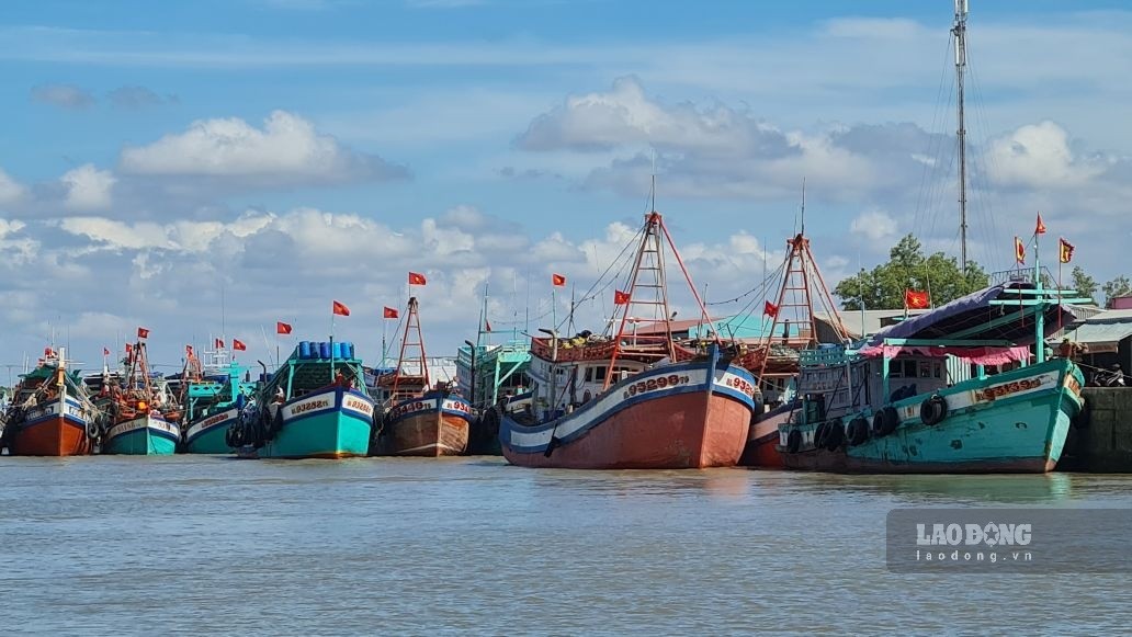 Tỉnh Cà Mau có đội tàu khai thác thuỷ sản hiện đại. Ảnh: Nhật Hồ.