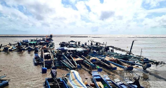 Cà Mau siết quản lý ngư trường, giảm áp lực khai thác ven bờ