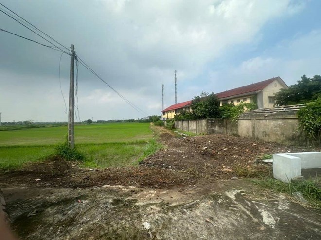 Xử lý bãi rác tự phát sau phản ánh của người dân ở Hưng Yên