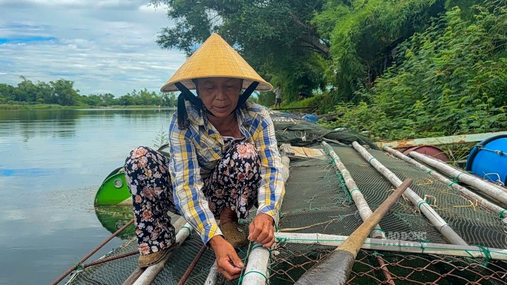 Bà Phan Thị Lộc gia cố lại lồng bè sau sự cố cá chết hàng loạt. Ảnh: Hồng Quân