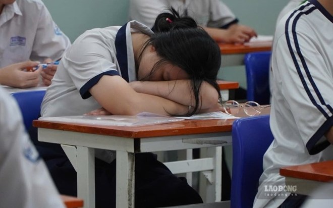 TPHCM đề nghị xử lý thông tin sai lệch về tuyển sinh đầu cấp trên các hội nhóm mạng xã hội. Ảnh: Chân Phúc