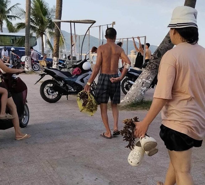 Xác minh nhóm người nhặt, bẻ san hô tại khu vực Hòn Chồng ở Nha Trang