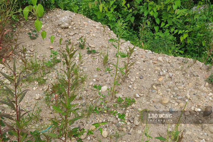 Người dân đặt nghi vấn về việc vật liệu không đảm bảo khi thi công đường. Ảnh: Đinh Đại