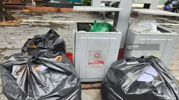 Lãng phí thùng rác công cộng, biến thành điểm tập kết rác phản cảm