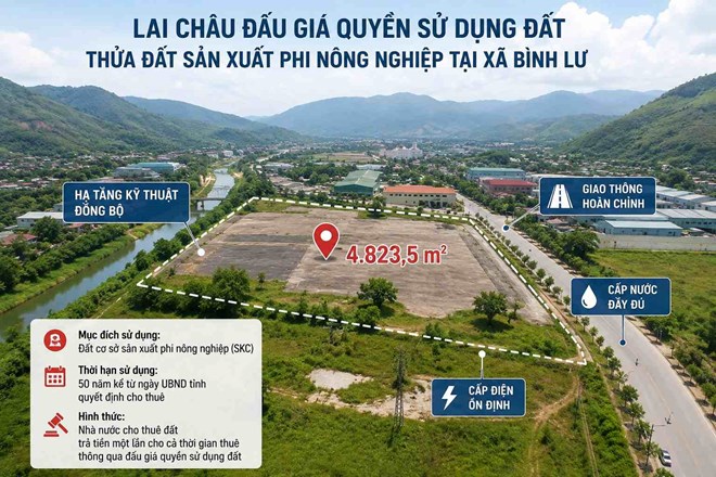 Lai Châu đấu giá quyền sử dụng đất sản xuất, thời hạn sử dụng 50 năm