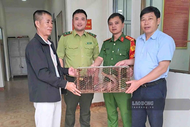 Người dân giao nộp cá thể tê tê quý hiếm cho cơ quan chức năng