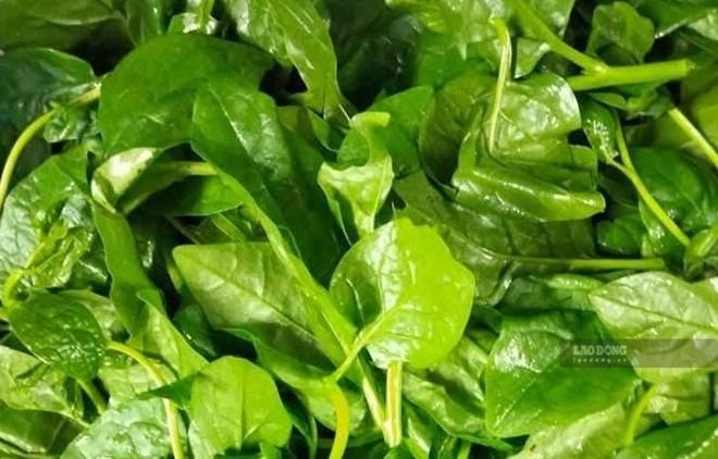 Những loại rau có thể hỗ trợ ổn định đường huyết