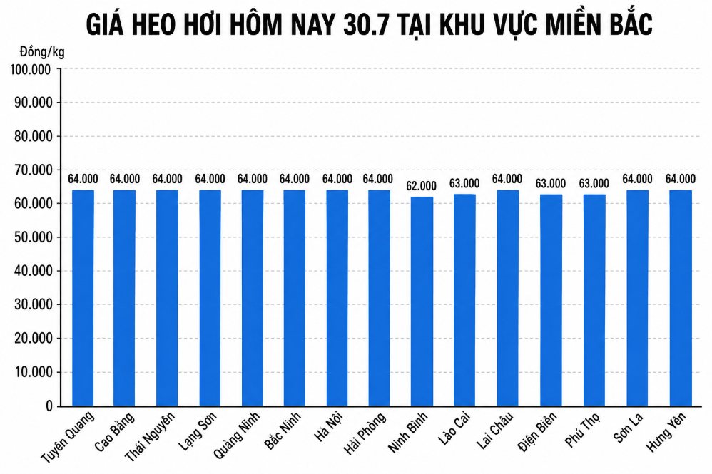 Giá heo hơi hôm nay 30.7 tại khu vực miền Bắc. Đồ họa sử dụng AI