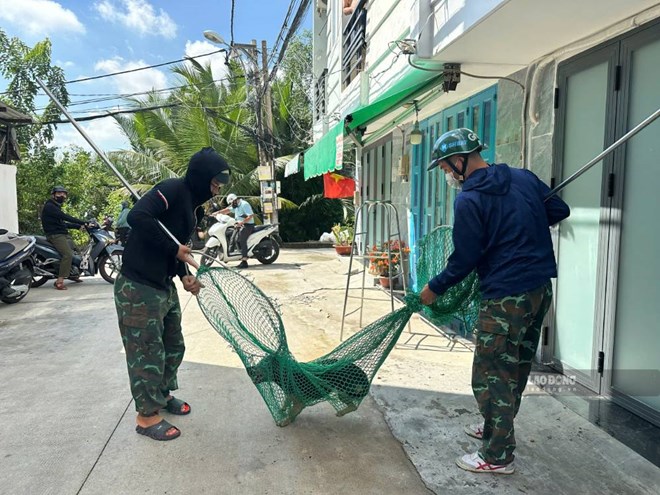 Chủ ôm chó xin lại khi tổ bắt chó thả rông ra quân ở TPHCM