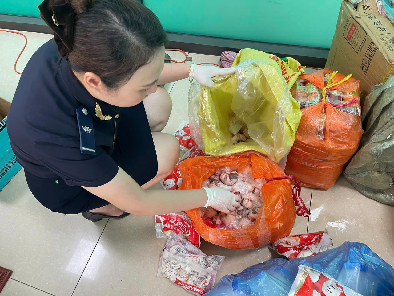 Hải quan Cửa khẩu quốc tế Lào Cai phát hiện 330 kg thực phẩm đông lạnh bị vứt bỏ rải rác tại khu vực cửa khẩu.