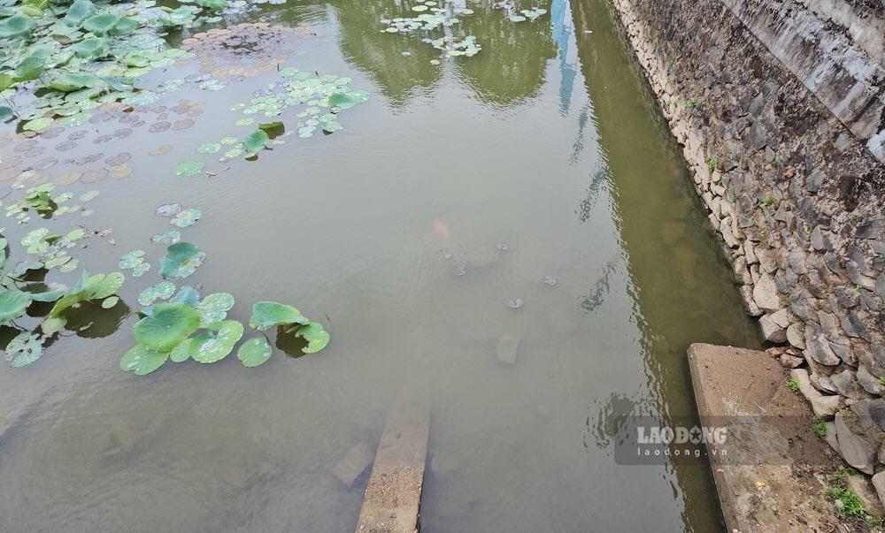 Các mảng bê tông và vật liệu thừa chìm dưới mực nước sâu ngay khu vực trước cổng chính di tích mới được ghi nhận. Ảnh: Hưng Thơ