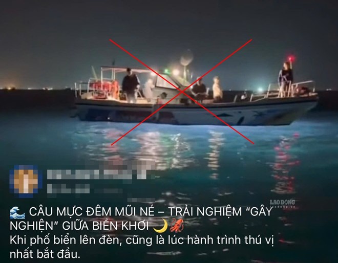 Ẩn họa từ những tour câu mực đêm được quảng cáo trên mạng