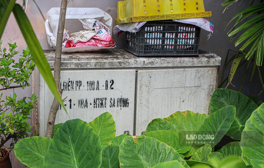 Một tủ điện thuộc hệ thống hạ tầng kỹ thuật khu dân cư Sa Động bị cây cỏ bao phủ. Ảnh: Nguyễn Luân