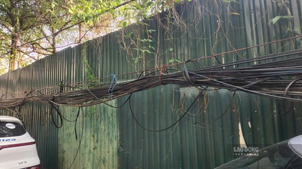 Điện lực Hà Nội xử lý cáp viễn thông chằng chịt