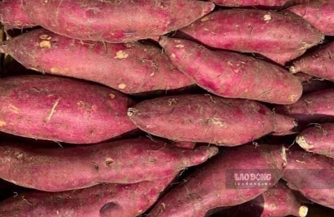 3 món ăn vặt dễ làm từ khoai lang
