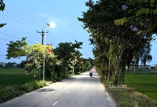 Hàng trăm cột đèn năng lượng mặt trời thắp sáng đường quê ở Ninh Bình