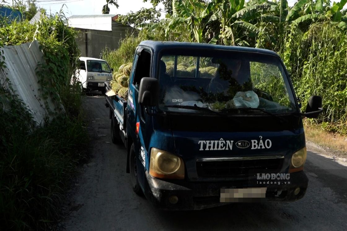 Xe chở nông sản đi lại gặp nhiều khó khăn. Ảnh: Tạ Quang