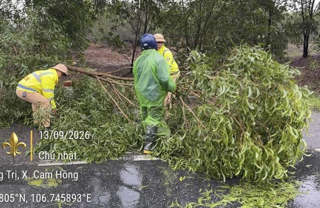 Cảnh sát giao thông dọn cây đổ chắn đường tránh lũ ở Quảng Trị