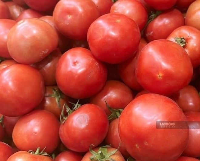 Cách ăn cà chua làm đẹp da khi thời tiết hanh khô