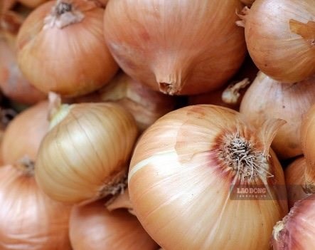 Lý do hành tây thường xuất hiện trong thực đơn của người gan nhiễm mỡ