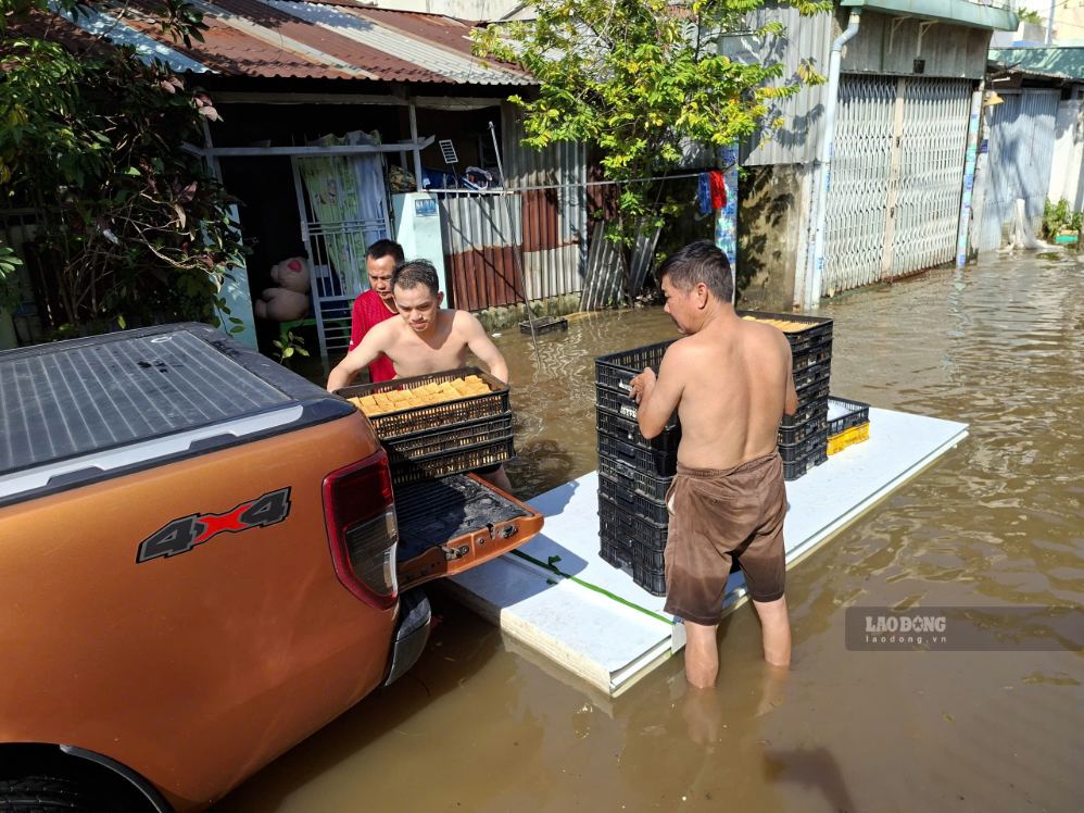 Người dân dùng bè tự chế vận chuyển đậu hủ ra ôtô để chở đi bán. Ảnh: Minh Quân