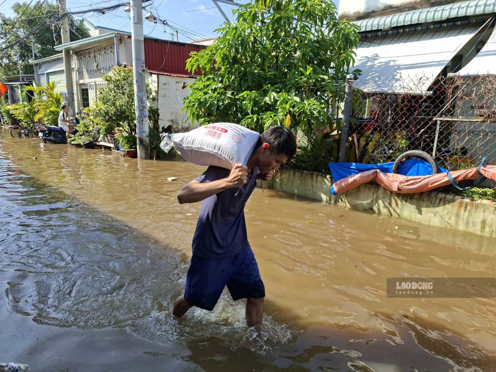Nước ngập làm ướt đồ đạc và gạo trong nhà, một số người dân hẻm 84 phải lội nước đi mua gạo về nấu ăn. Ảnh: Minh Quân