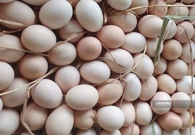Loại thực phẩm có trong bữa ăn mỗi ngày, giá rẻ nhưng lại giúp bảo vệ xương khớp