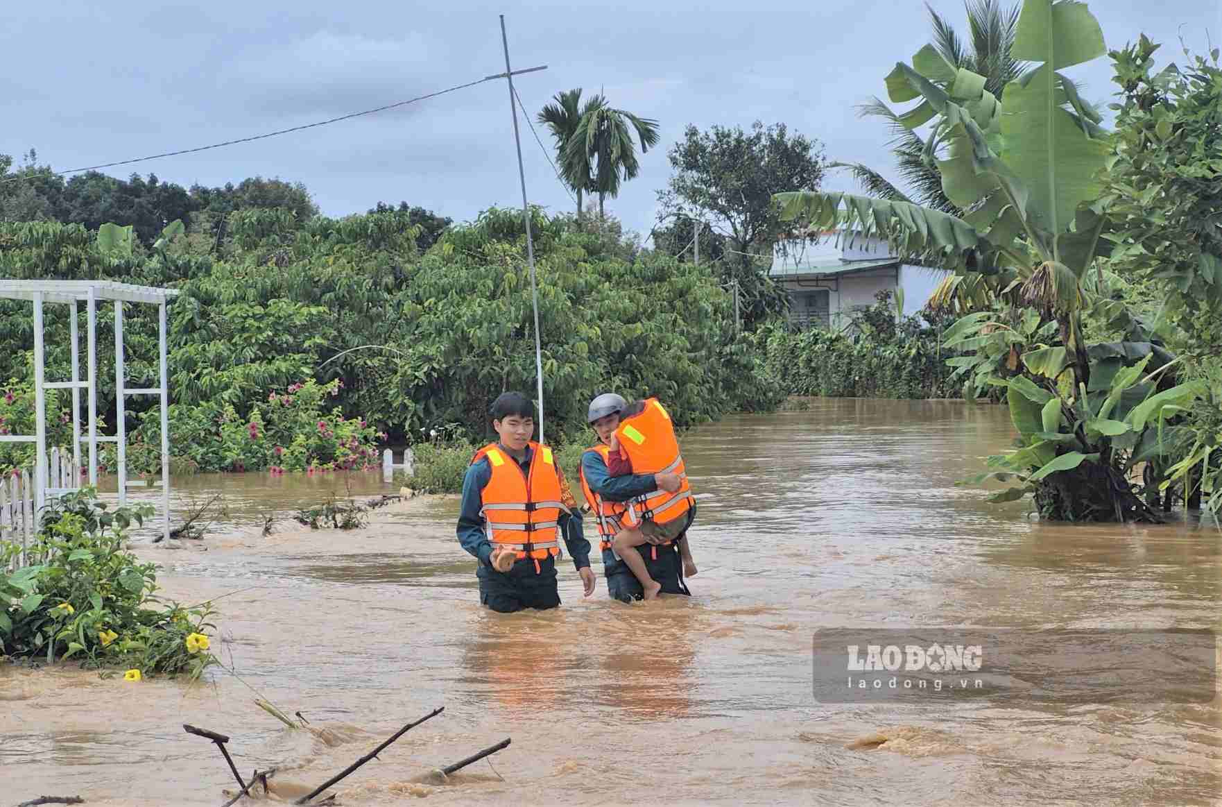 Các lực lượng vượt mưa lũ sơ tán người dân tại các khu vực ngập sâu trên địa bàn xã Bảo Lâm 2 đến nơi an toàn. Ảnh: Phúc Khánh (chụp ngày 4.10)