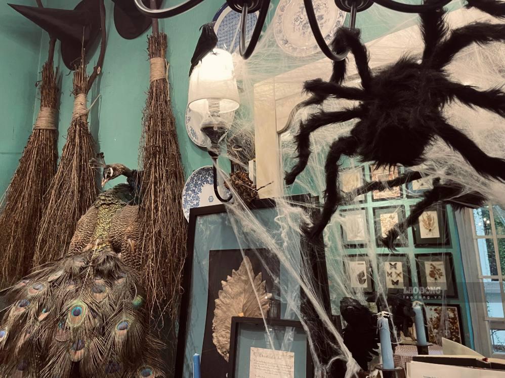 Không chỉ mang đến không gian đậm màu sắc Halloween, những góc trang trí độc đáo còn góp phần tạo nên trải nghiệm mới mẻ, làm phong phú lựa chọn vui chơi, check-in của giới trẻ trong mùa lễ hội năm nay.